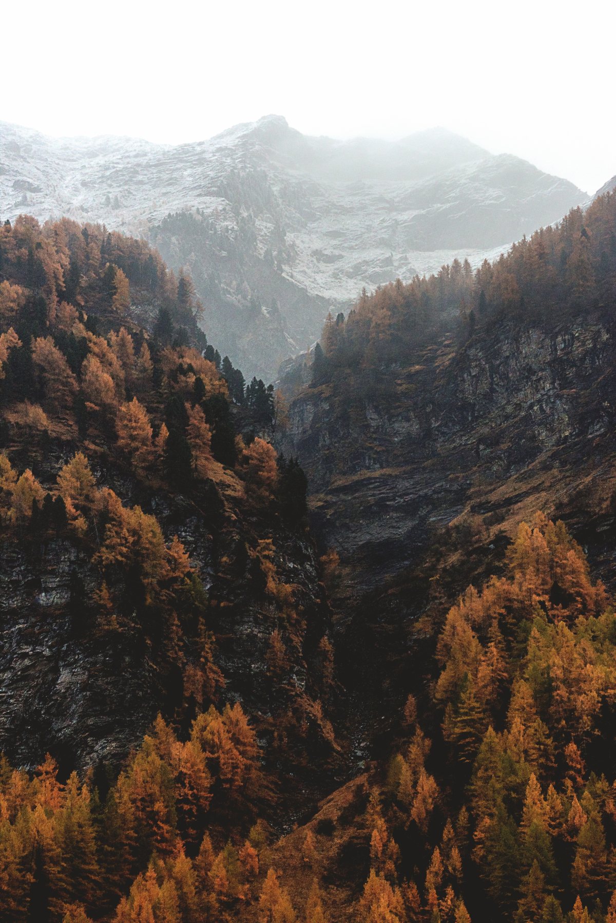eberhard-grossgasteiger-421475-unsplash