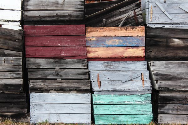 rob-sheahan-1089444-unsplash