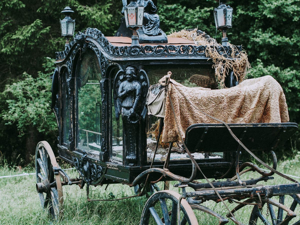 sandra-frey-383428-unsplash