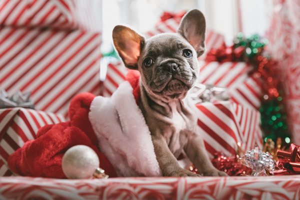 jakob-owens-484963-unsplash