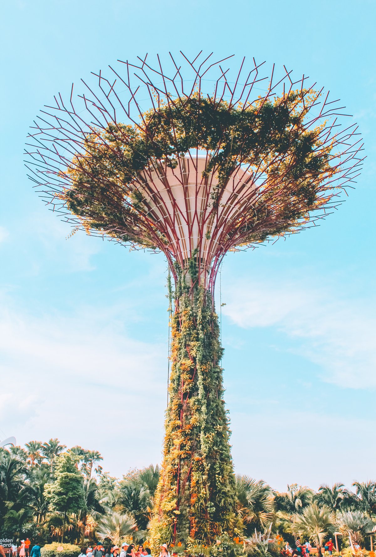 victor-garcia-741316-unsplash